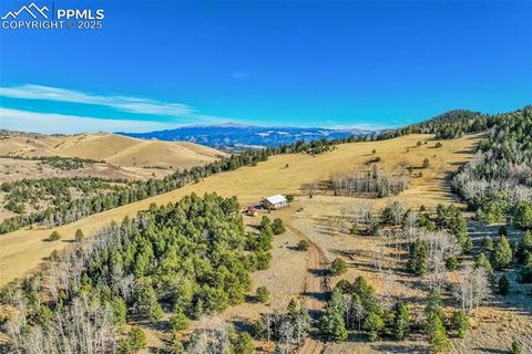 Tiny photo for 1440 N Range Road, Guffey, CO 80820 (MLS # 4260875)