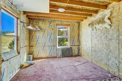 Tiny photo for 1440 N Range Road, Guffey, CO 80820 (MLS # 4260875)