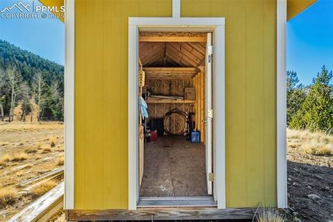 Tiny photo for 1440 N Range Road, Guffey, CO 80820 (MLS # 4260875)