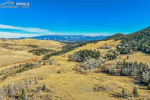 Tiny photo for 1440 N Range Road, Guffey, CO 80820 (MLS # 4260875)