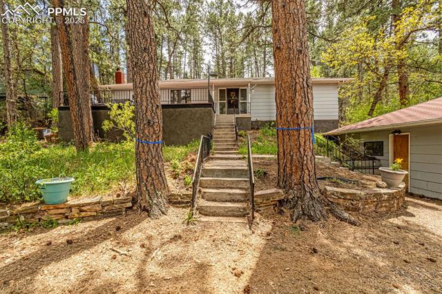 8684 Pine Drive