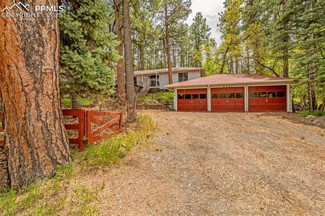 8684 Pine Drive