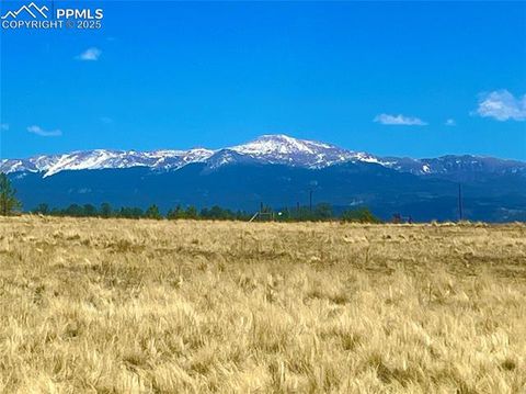 Photo of 90 Meadow Lane, Guffey, CO 80820 (MLS # 7040055)