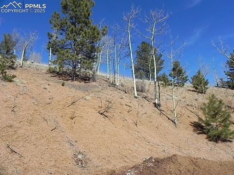 Photo of 185 No Name Lane, Cripple Creek, CO 80813 (MLS # 1774277)
