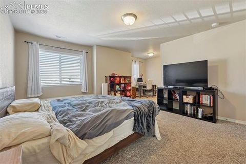 Tiny photo for 8721 Dry Needle Place, Colorado Springs, CO 80908 (MLS # 9609505)