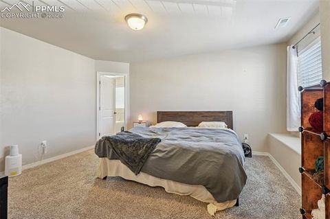 Tiny photo for 8721 Dry Needle Place, Colorado Springs, CO 80908 (MLS # 9609505)