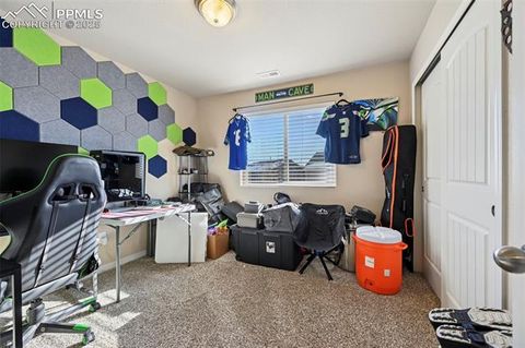 Tiny photo for 8721 Dry Needle Place, Colorado Springs, CO 80908 (MLS # 9609505)