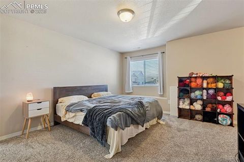 Tiny photo for 8721 Dry Needle Place, Colorado Springs, CO 80908 (MLS # 9609505)
