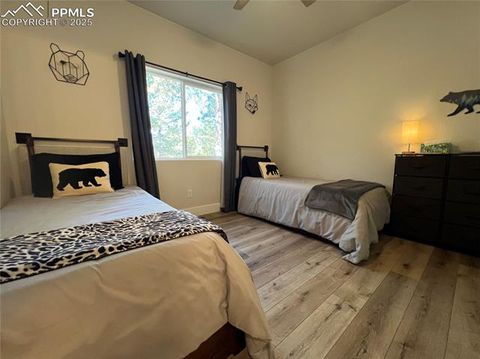 Tiny photo for 348 Due South Road, Florissant, CO 80816 (MLS # 5910908)