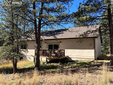 Tiny photo for 348 Due South Road, Florissant, CO 80816 (MLS # 5910908)