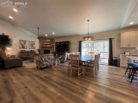 Tiny photo for 348 Due South Road, Florissant, CO 80816 (MLS # 5910908)