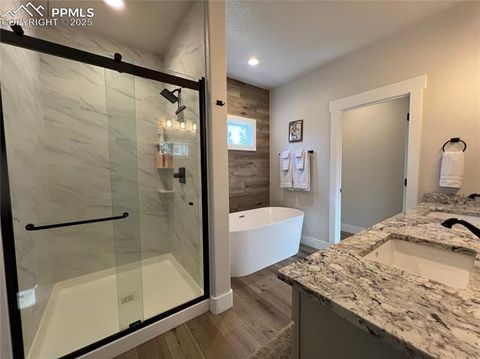 Tiny photo for 348 Due South Road, Florissant, CO 80816 (MLS # 5910908)