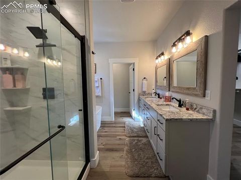 Tiny photo for 348 Due South Road, Florissant, CO 80816 (MLS # 5910908)