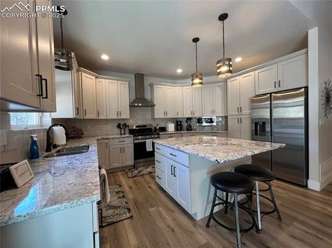 Tiny photo for 348 Due South Road, Florissant, CO 80816 (MLS # 5910908)