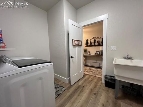 Tiny photo for 348 Due South Road, Florissant, CO 80816 (MLS # 5910908)