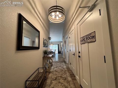 Tiny photo for 348 Due South Road, Florissant, CO 80816 (MLS # 5910908)