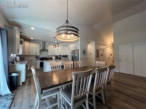 Tiny photo for 348 Due South Road, Florissant, CO 80816 (MLS # 5910908)