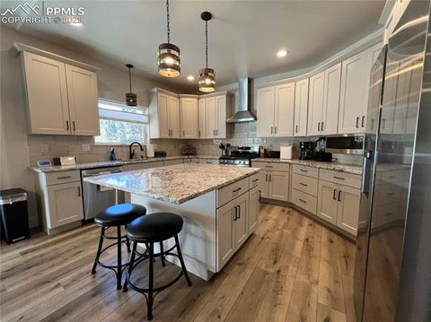 Tiny photo for 348 Due South Road, Florissant, CO 80816 (MLS # 5910908)