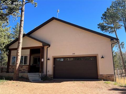 Tiny photo for 348 Due South Road, Florissant, CO 80816 (MLS # 5910908)