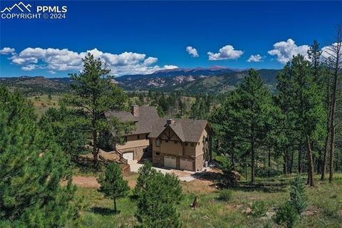 2 Golden Eagle Heights Florissant CO 80816