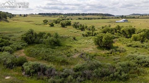 11771 E Smith Road Elbert CO 80106