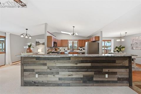 Tiny photo for 1003 Kings Crown Road, Woodland Park, CO 80863 (MLS # 1282534)