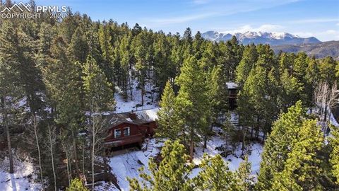 Tiny photo for 1003 Kings Crown Road, Woodland Park, CO 80863 (MLS # 1282534)