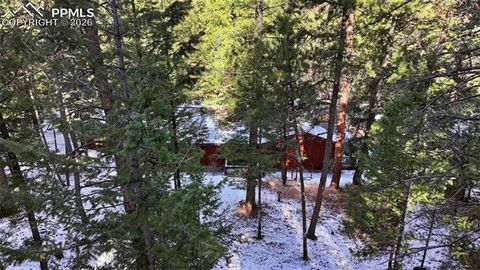 Tiny photo for 1003 Kings Crown Road, Woodland Park, CO 80863 (MLS # 1282534)