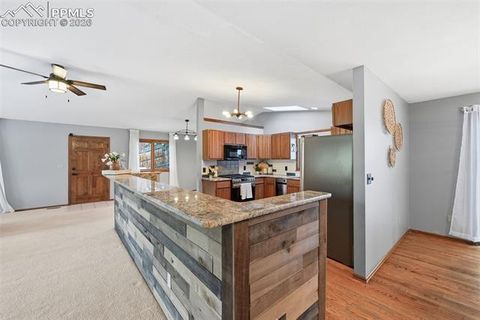 Tiny photo for 1003 Kings Crown Road, Woodland Park, CO 80863 (MLS # 1282534)