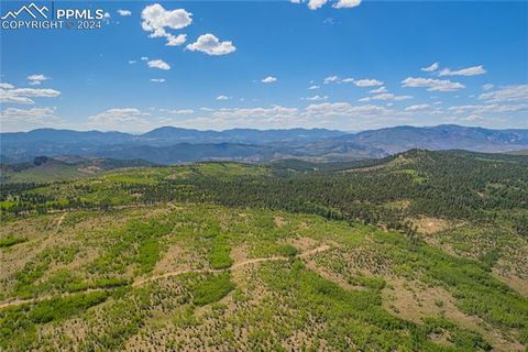 Unit 4 County Road 51 Florissant CO 80816