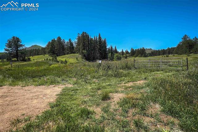 11068 Trail Creek Road