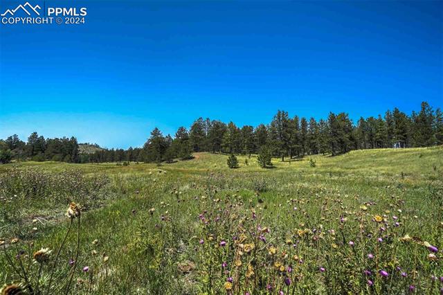 11068 Trail Creek Road