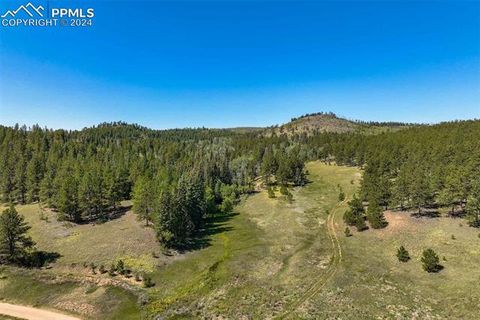 11068 Trail Creek Road Divide CO 80814