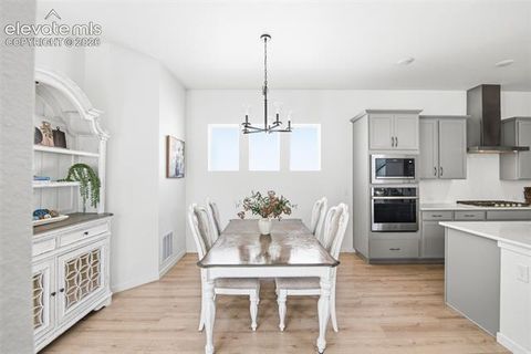 Tiny photo for 8946 Wolf Valley Drive, Colorado Springs, CO 80924 (MLS # 6921890)