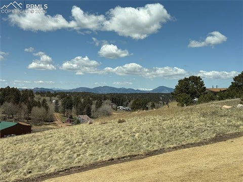 Tiny photo for 538 Friar Tuck Drive, Divide, CO 80814 (MLS # 9651061)