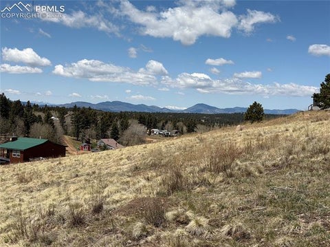 Tiny photo for 538 Friar Tuck Drive, Divide, CO 80814 (MLS # 9651061)