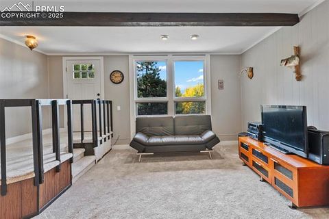 Tiny photo for 1051 Forest Hill Road, Woodland Park, CO 80863 (MLS # 7868005)