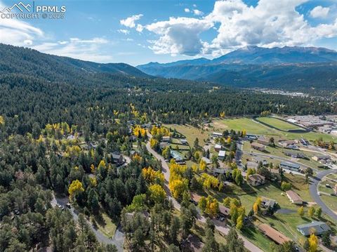 Tiny photo for 1051 Forest Hill Road, Woodland Park, CO 80863 (MLS # 7868005)