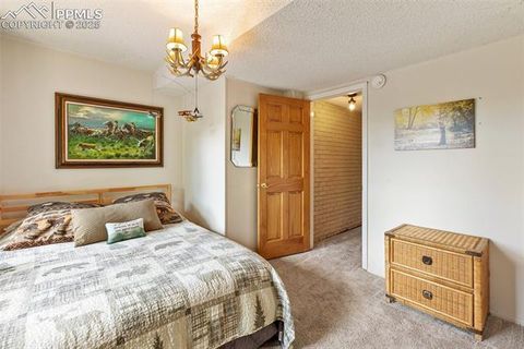 Tiny photo for 1051 Forest Hill Road, Woodland Park, CO 80863 (MLS # 7868005)