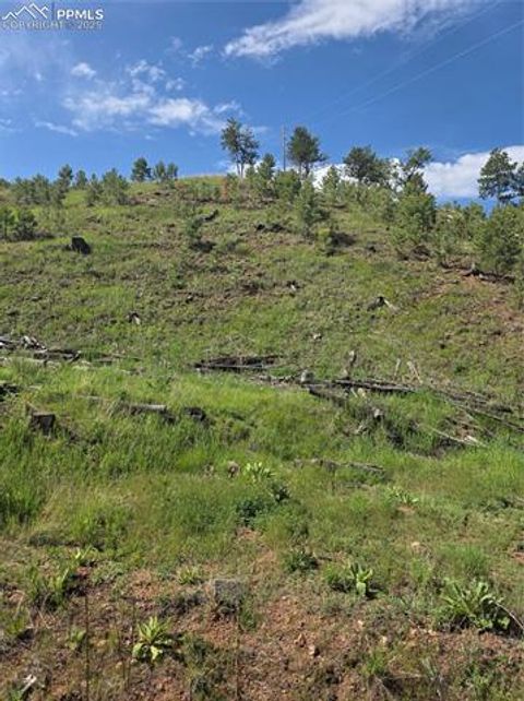 Photo of 14874 Evergreen Place, Woodland Park, CO 80863 (MLS # 3733158)
