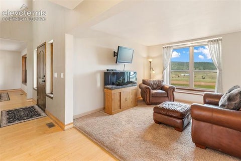 Tiny photo for 23311 S Highway 67, Divide, CO 80814 (MLS # 9492445)