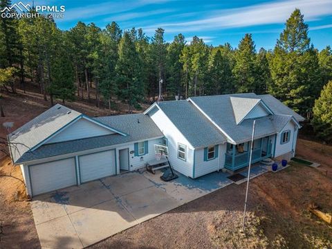 Photo of 16 Spruce Circle, Woodland Park, CO 80863 (MLS # 8254666)