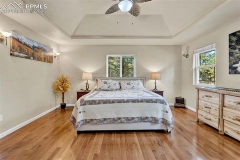 Tiny photo for 16 Spruce Circle, Woodland Park, CO 80863 (MLS # 8254666)