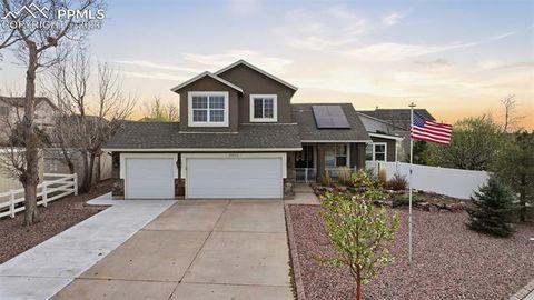 Photo of 8603 Copenhagen Road, Peyton, CO 80831 (MLS # 6800494)