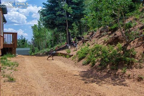 Tiny photo for 6070 Big Horn Road, Manitou Springs, CO 80829 (MLS # 1364624)