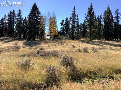 Photo of 199 Joshua Road, Divide, CO 80814 (MLS # 8981841)