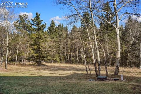 Tiny photo for 310 Ridge Road, Divide, CO 80814 (MLS # 5922554)