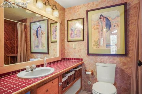 Tiny photo for 310 Ridge Road, Divide, CO 80814 (MLS # 5922554)