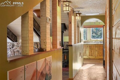 Tiny photo for 310 Ridge Road, Divide, CO 80814 (MLS # 5922554)