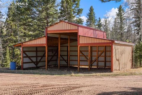 Tiny photo for 310 Ridge Road, Divide, CO 80814 (MLS # 5922554)